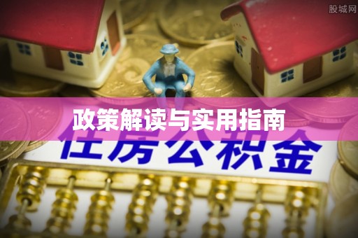 南山政策解读与实用指南