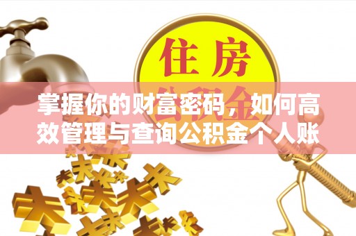 南山掌握你的财富密码，如何高效管理与查询公积金个人账户信息