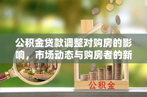 南山公积金贷款调整对购房的影响，市场动态与购房者的新选择