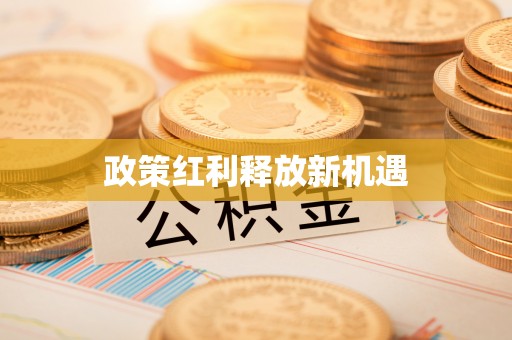 南山政策红利释放新机遇