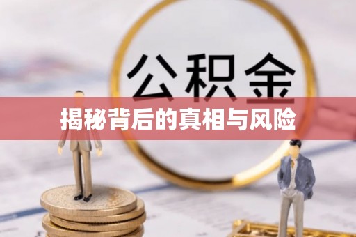 南山揭秘背后的真相与风险