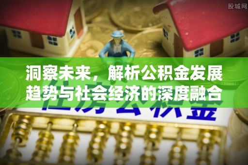 南山洞察未来，解析公积金发展趋势与社会经济的深度融合