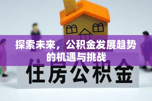 南山探索未来，公积金发展趋势的机遇与挑战