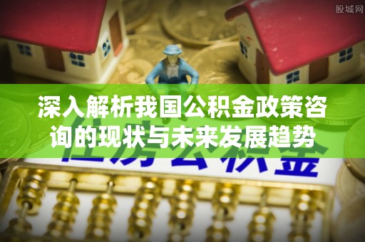 南山深入解析我国公积金政策咨询的现状与未来发展趋势