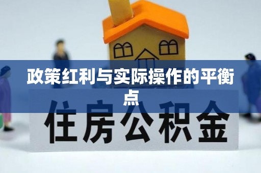 南山政策红利与实际操作的平衡点