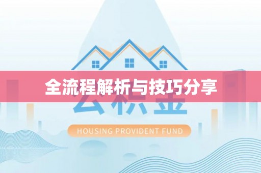 南山全流程解析与技巧分享